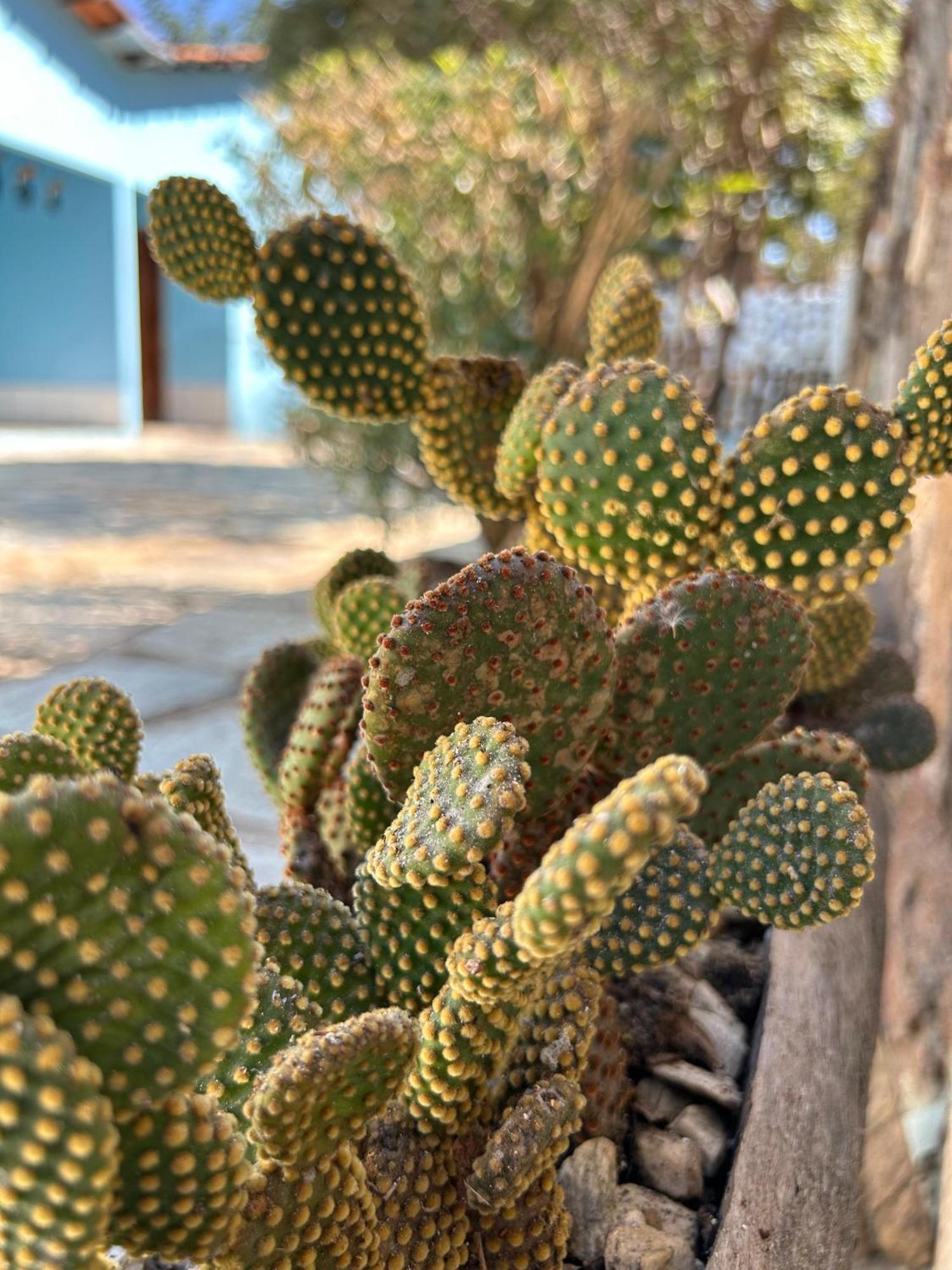 Pousada Da Biquinha Pirenópolis Exterior foto